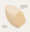 The Makeup Sponge