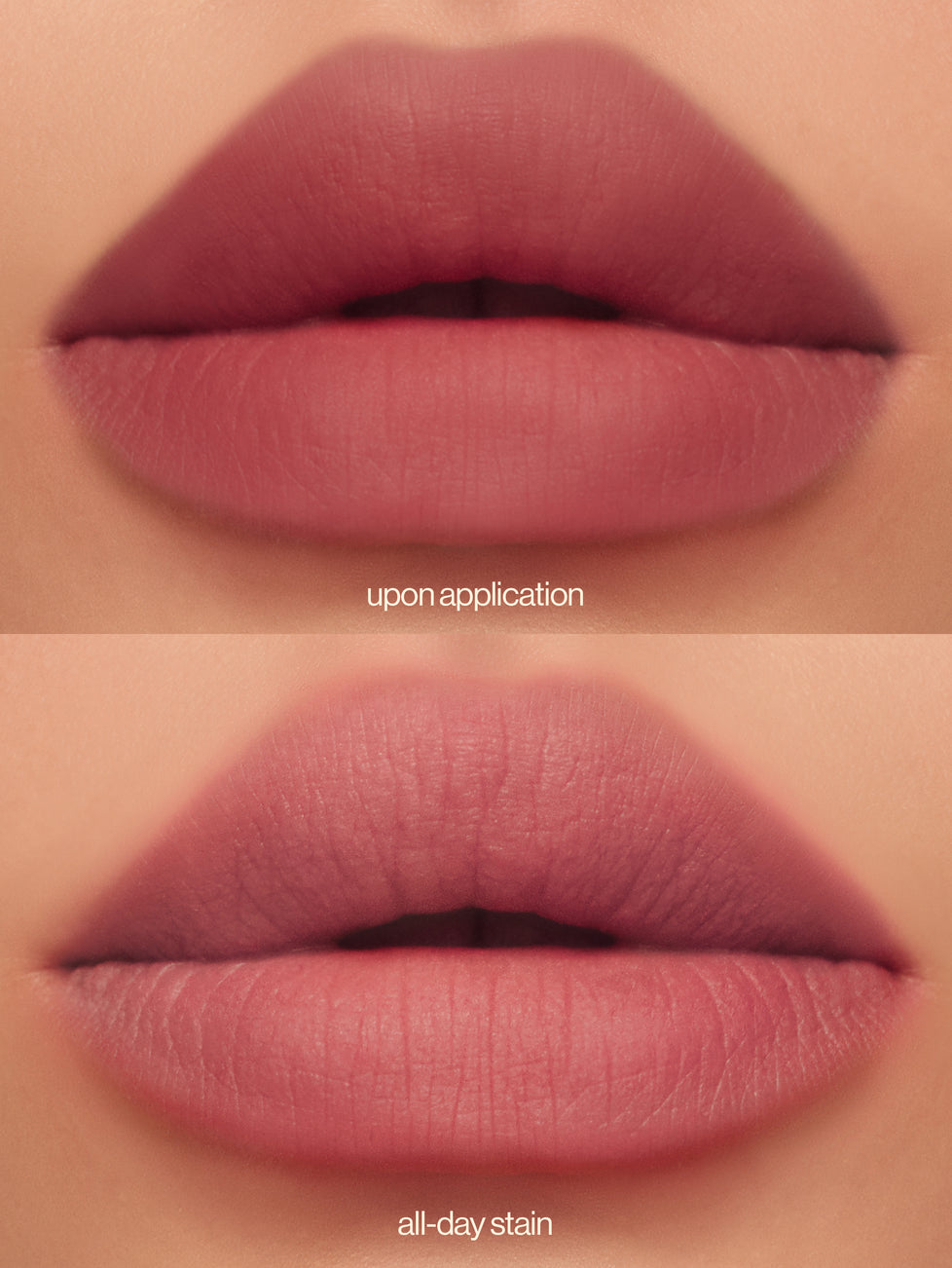 Lip Dip in Fig