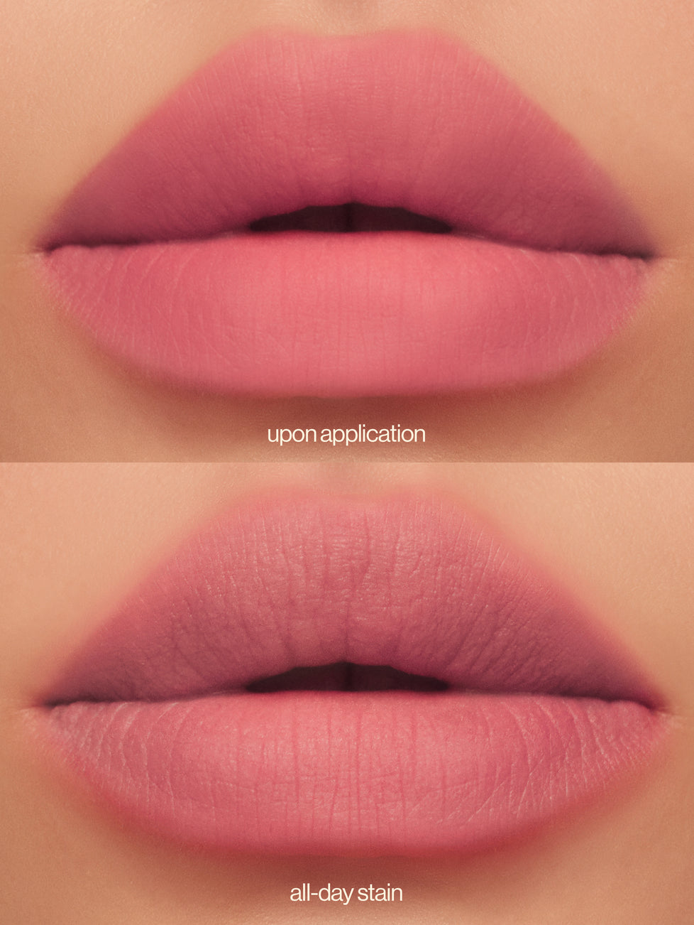 Lip Dip in Petite